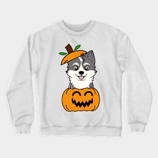 Cute Husky Dog is in a pumpkin Crewneck Sweatshirt